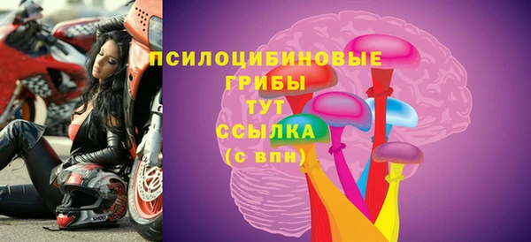 хмурый Алексеевка
