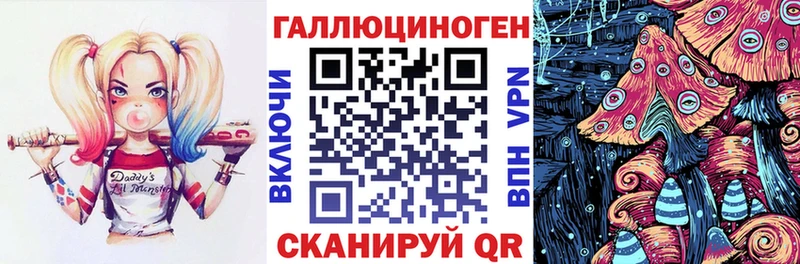 закладки  Каневская  Псилоцибиновые грибы Cubensis 